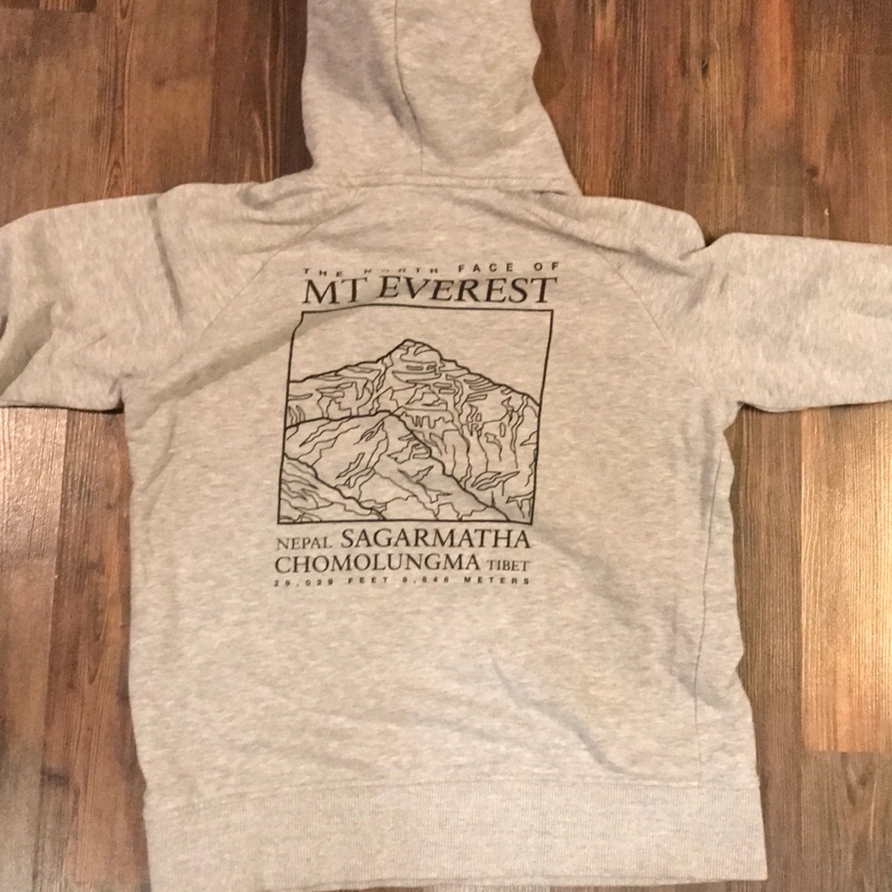The north face hoody